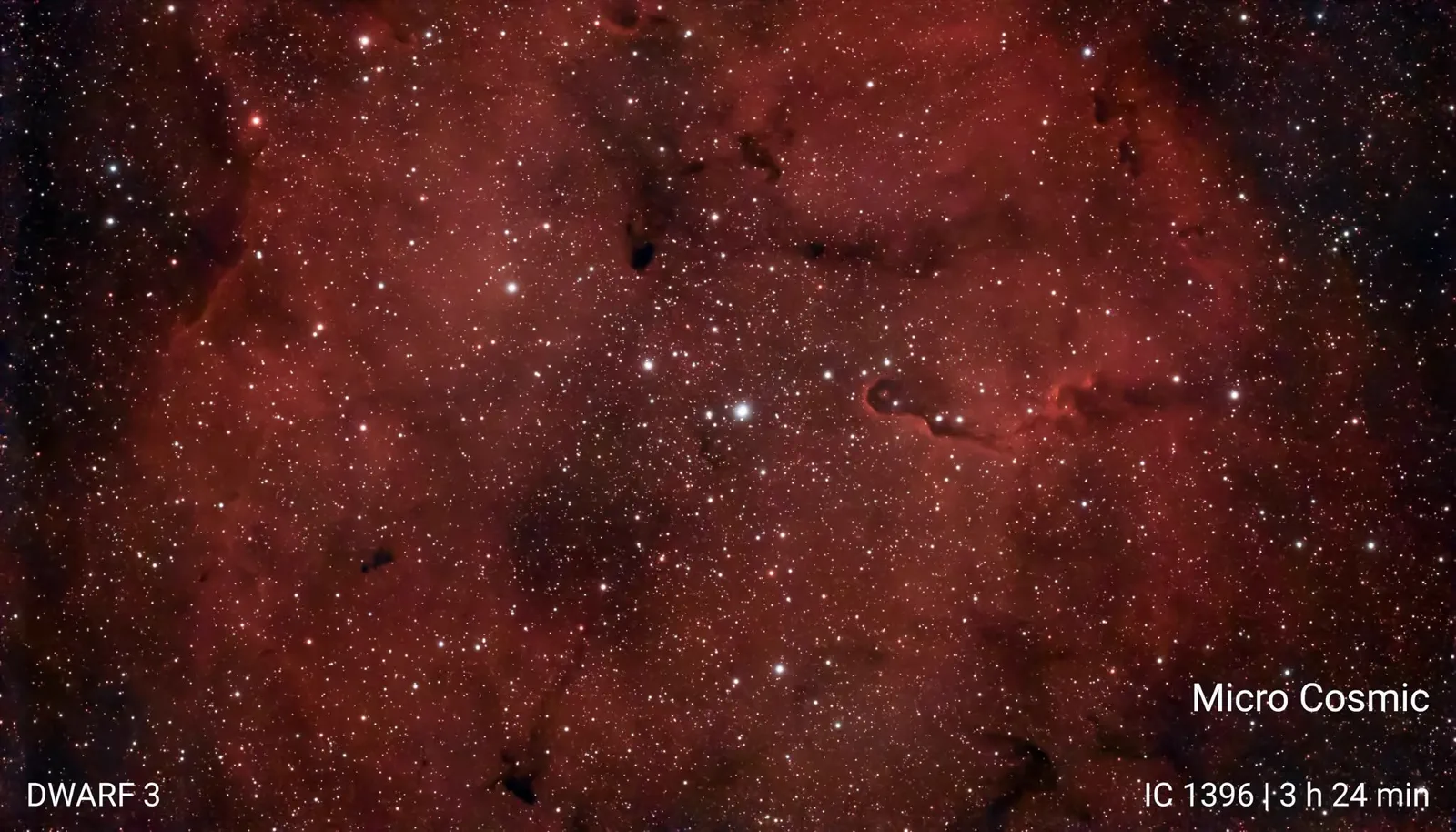 The Elephant's Trunk Nebula captured using the Dwarf 3