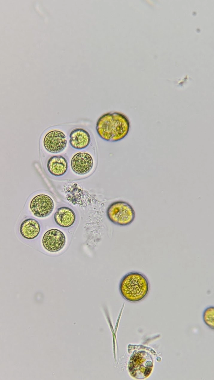 A play button icon over a stylized video timeline